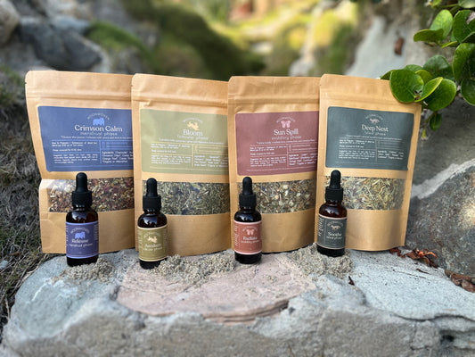 Moonwoven Cycle Kit - A Herbal Ritual for All Four Phases